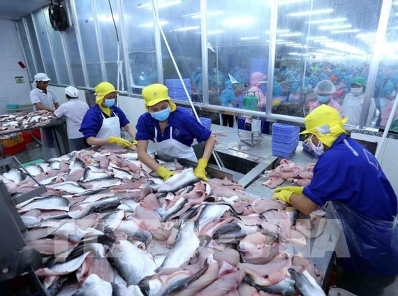 vietnam attends seafood expo global 2022 in spain picture 1 vietnam attends seafood expo global 2022 in spain picture 1