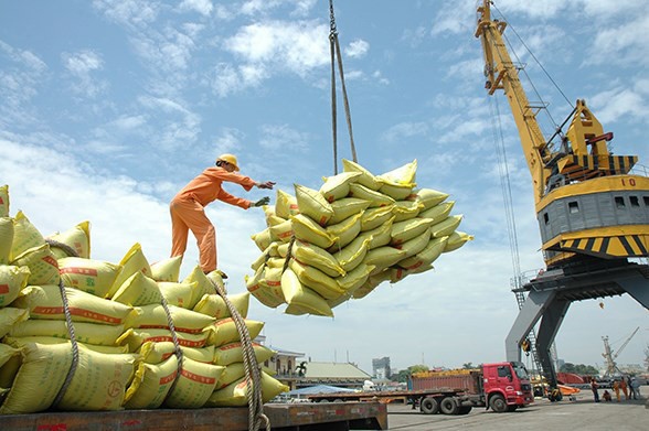 suitable local rice prices help to boost exports picture 1