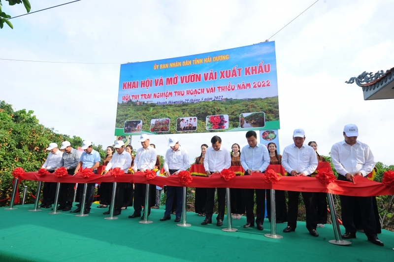 Về Hải Dương dự lễ hội vải thiều 2022