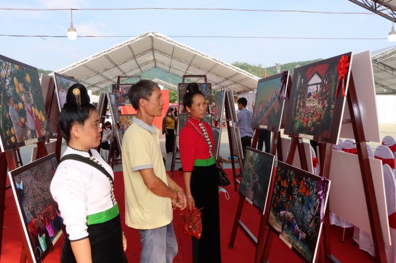 Lần đầu tiên tổ chức triển lãm "Ảnh đẹp về trái cây” với quy mô toàn quốc