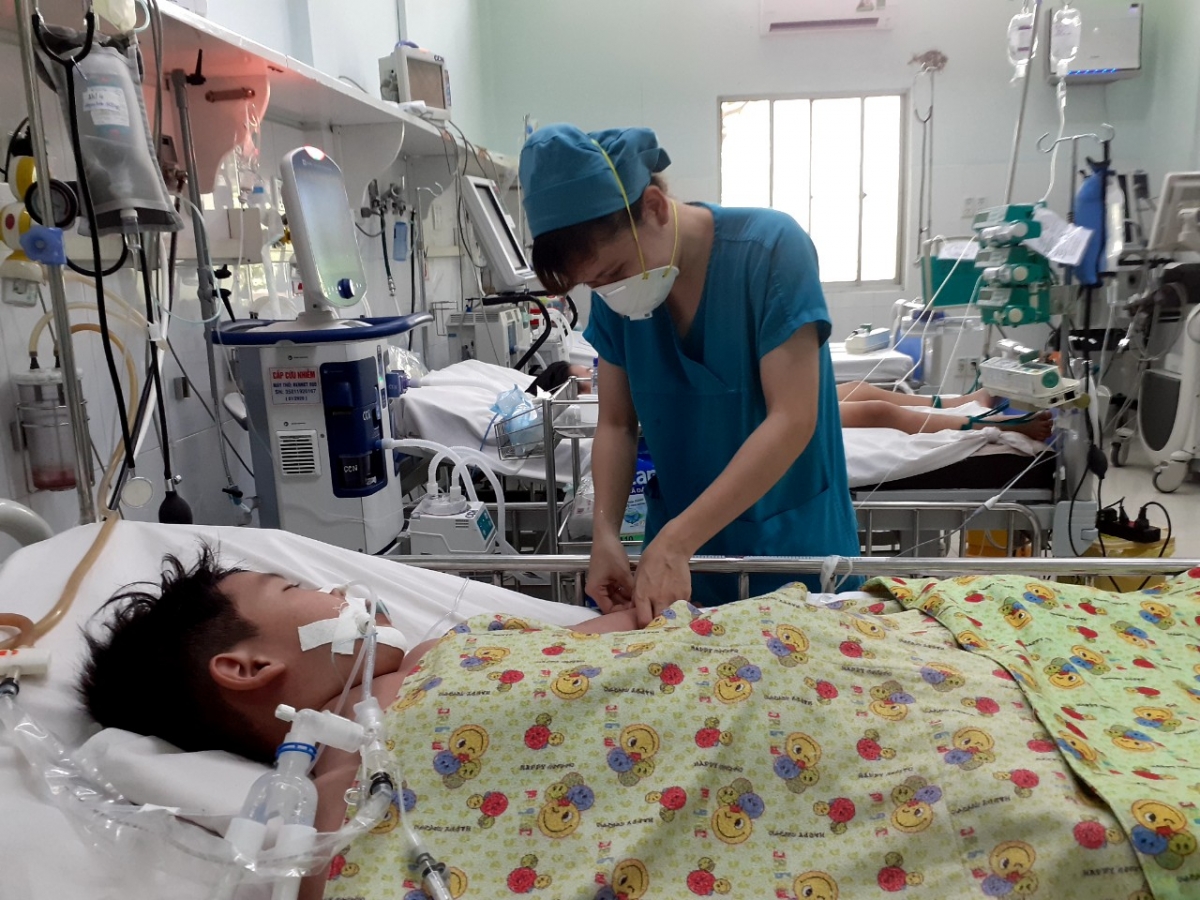 alarm bells sound as dengue fever cases rise in hcm city picture 1 alarm bells sound as dengue fever cases rise in hcm city picture 1
