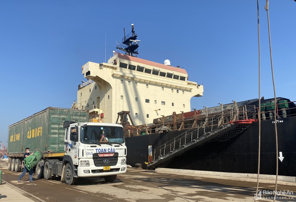 Cua Lo Port receives first international container ship