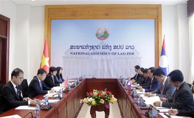 na committees for foreign affairs of vietnam, laos strengthen cooperation picture 1
