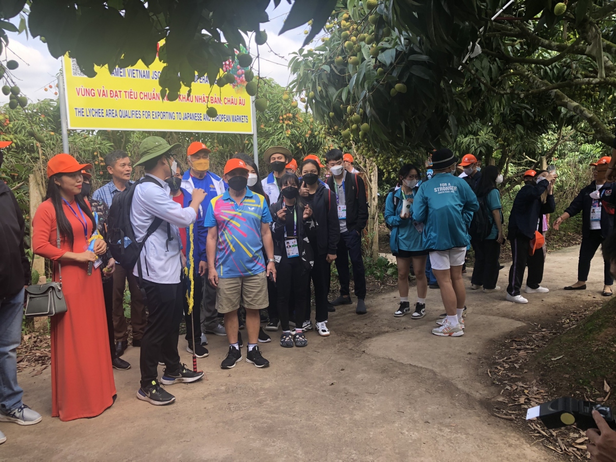 Các đại biểu tham gia tour du lịch vườn vải đặc trưng của tỉnh Hải Dương. Nguồn: Sở VHTT&amp;DL Hải Dương