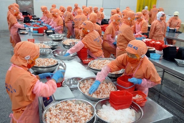 vietnamese export increases in both quantity, quality picture 1