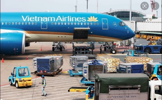nikkei asia vietnamese air freight industry accelerates despite covid-19 pandemic picture 1