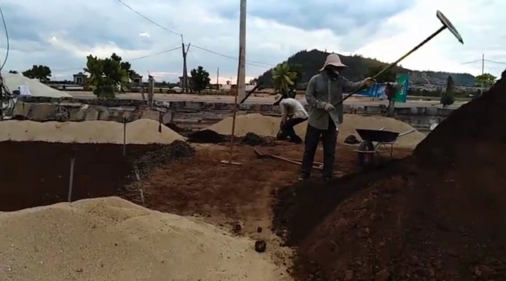 Nông dân Lý Sơn lo lắng vì thiếu cát trồng hành, tỏi