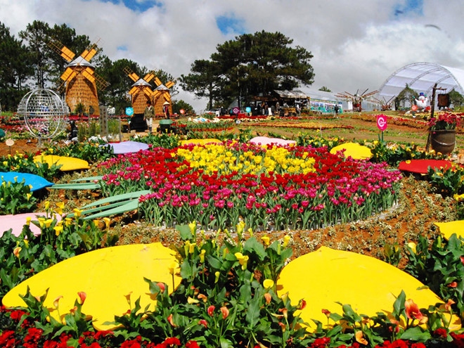 da lat flower festival 2022 set to take place in november picture 1