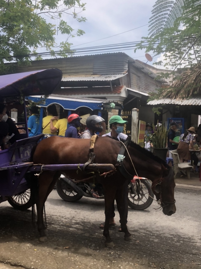 Các điểm du lịch ở Tiền Giang đông khách dịp nghỉ lễ