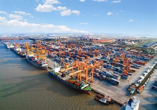 more room to develop vietnam s international shipping fleet picture 1