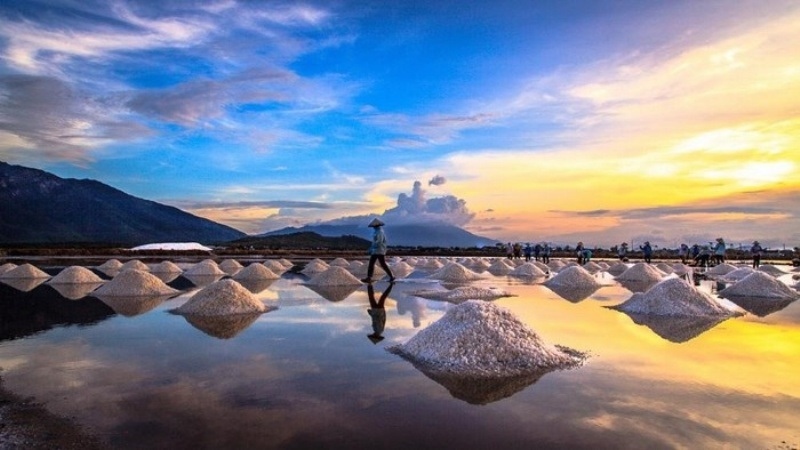 nhung ly do khien du khach quay lai ninh thuan nhieu lan hinh anh 3