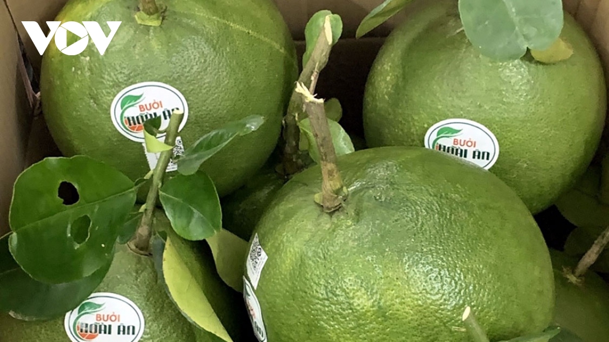 us agrees to import vietnamese pomelos picture 1