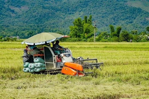 seminar connects vietnamese, us agricultural businesses picture 1