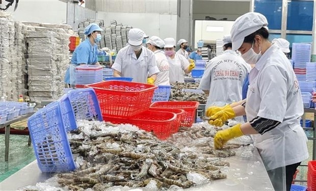 south africa a potential market for vietnam s fishery products official picture 1