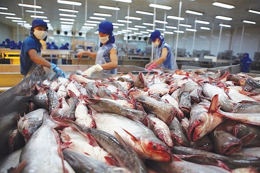 shrimp, pangasius exports enjoy april surge picture 1