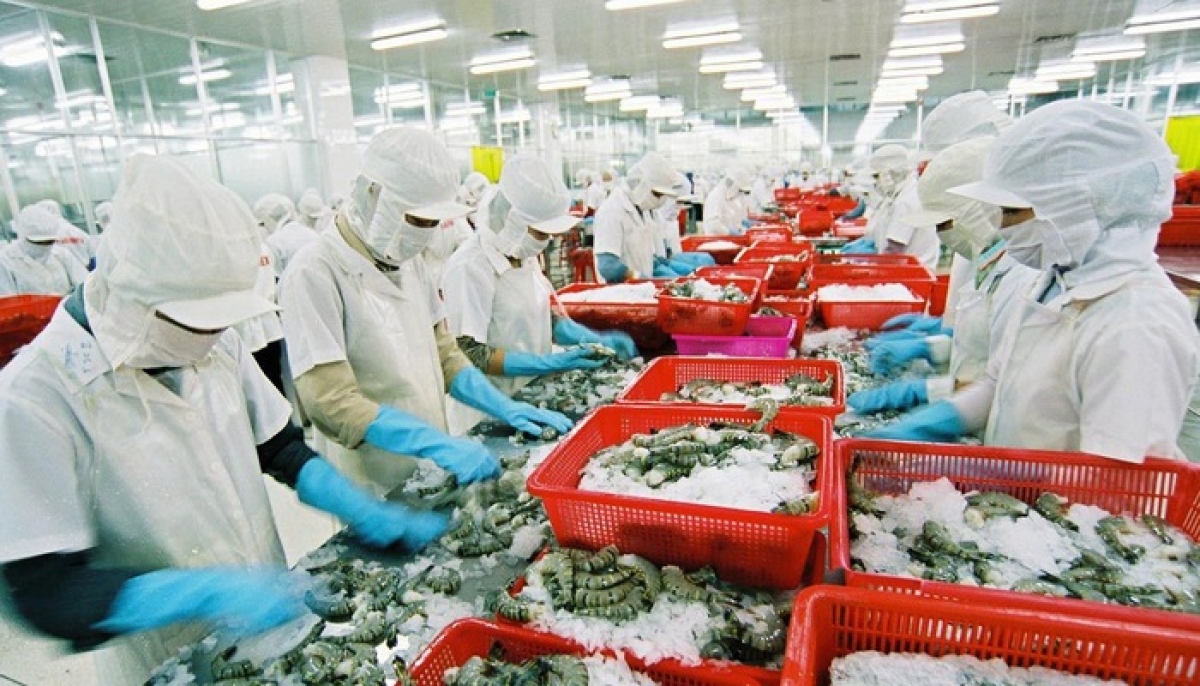 shrimp exports reach peak, higher value expected in q2 picture 1