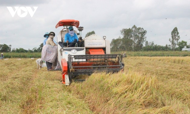 UNDP affirms commitment to Vietnam’s development goals
