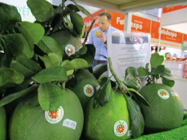 vietnam shows potential for fruit exports to us picture 1