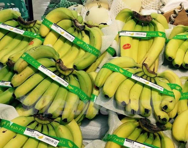 japan increases banana imports from vietnam picture 1