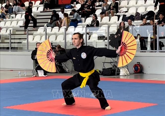 vietnamese martial arts championship in france awards 151 medals picture 1