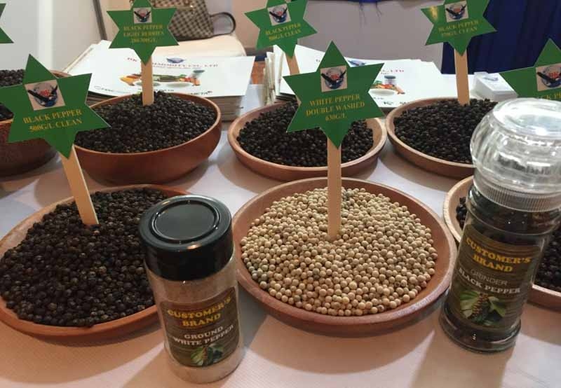 The share of Vietnamese pepper exports to the EU increase from 20.21% in the first quarter of 2021 to 28.08% in the first quarter of this year.