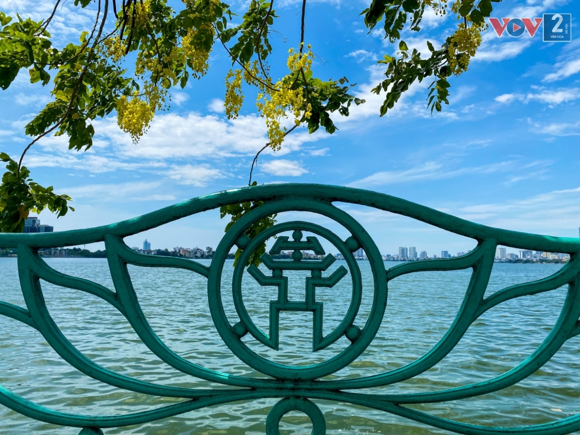 ngam muong hoang yen phu vang khap pho phuong ha noi hinh anh 10