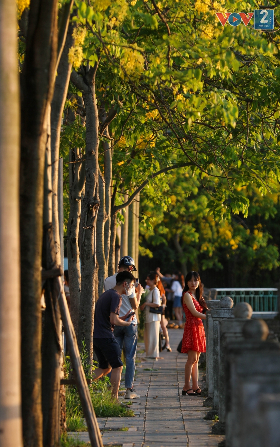 ngam muong hoang yen phu vang khap pho phuong ha noi hinh anh 11