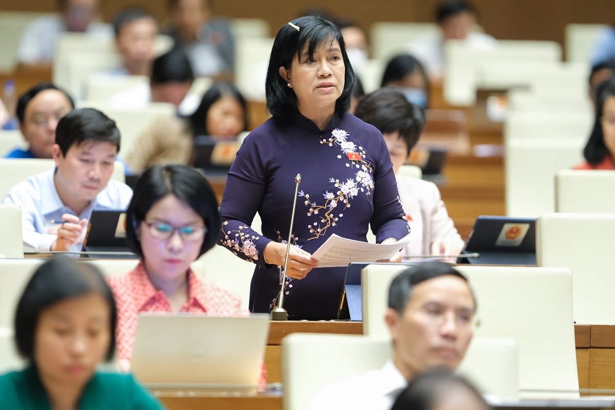 Dau tu dau khi can nhac loi ich quoc gia, khong thu hut bang moi gia hinh anh 4