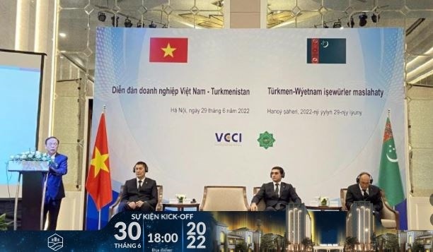 vietnamese and turkmenistan firms enhance business co-operation picture 1