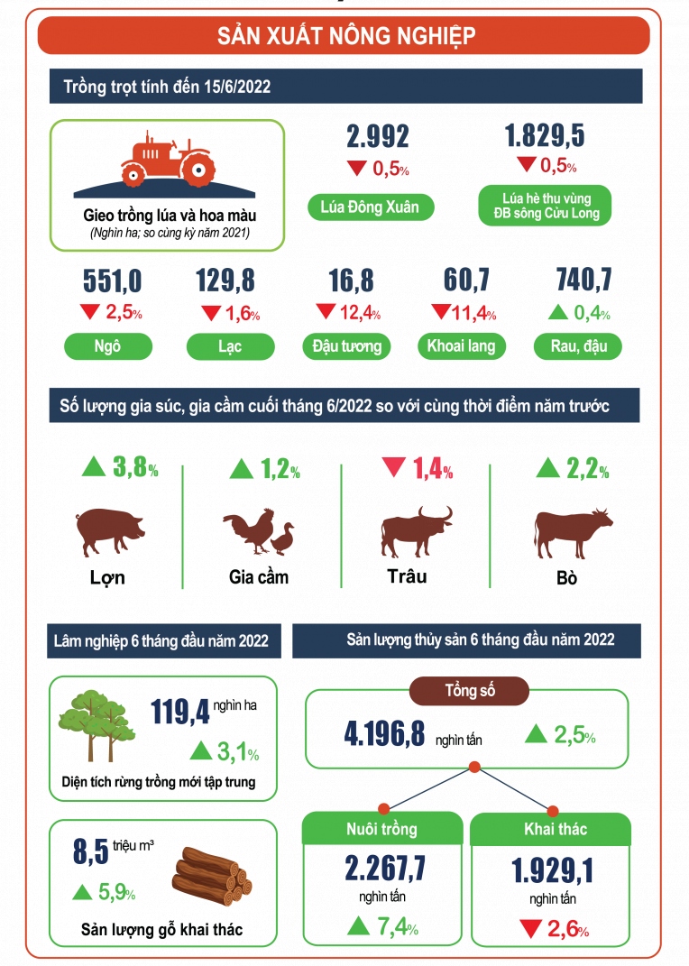 buc tranh kinh te - xa hoi 6 thang dau nam 2022 hinh anh 2