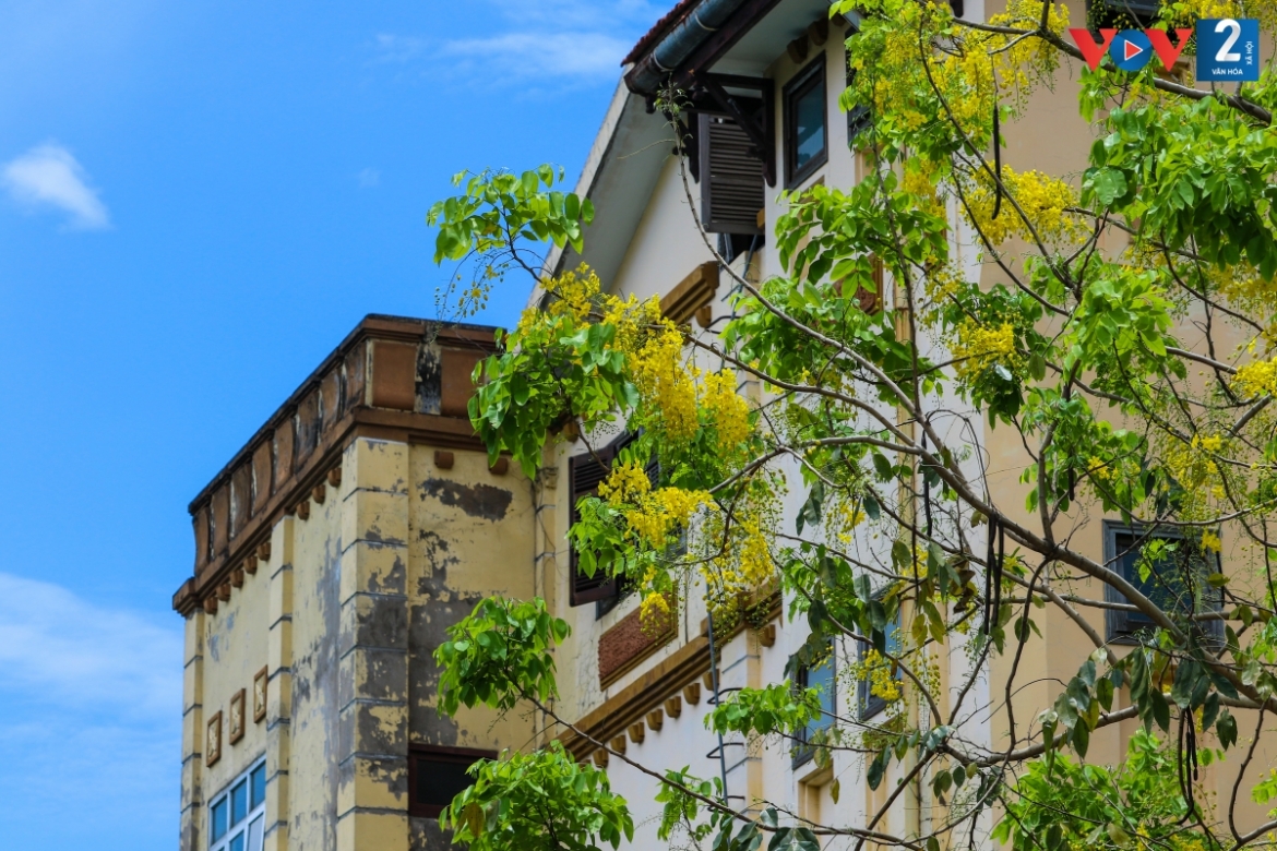ngam muong hoang yen phu vang khap pho phuong ha noi hinh anh 7