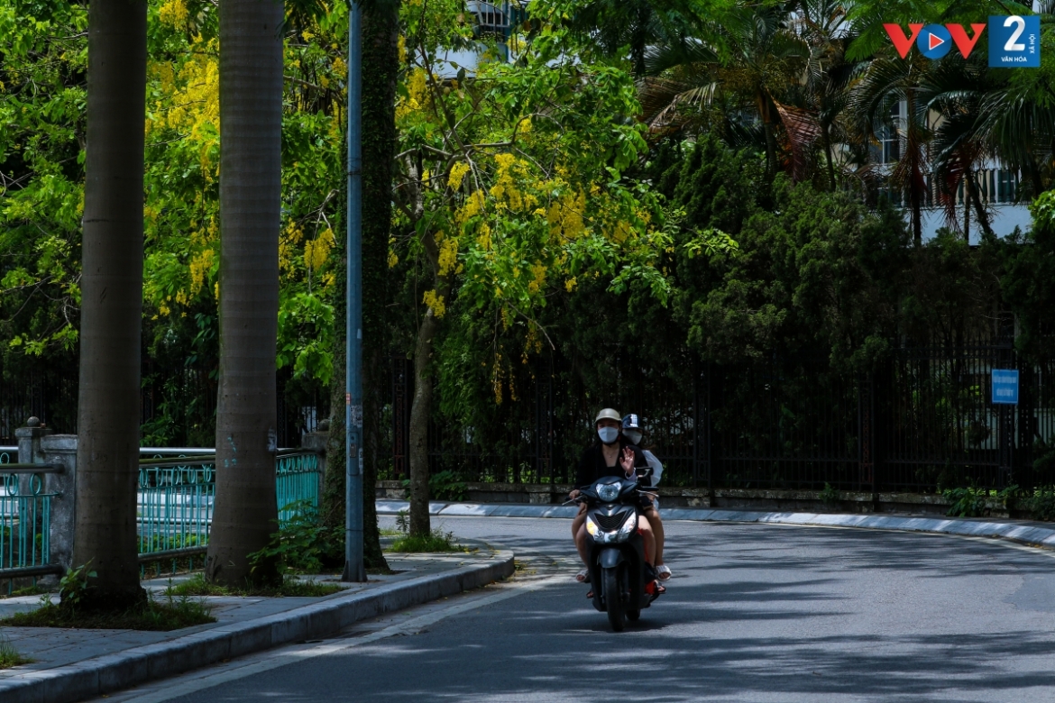 ngam muong hoang yen phu vang khap pho phuong ha noi hinh anh 9