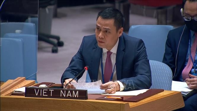 ambassador affirms vietnamese support for un s humanitarian efforts picture 1