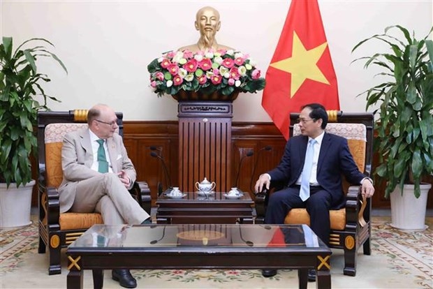 vietnam places importance on multi-faceted cooperation with sweden fm picture 1