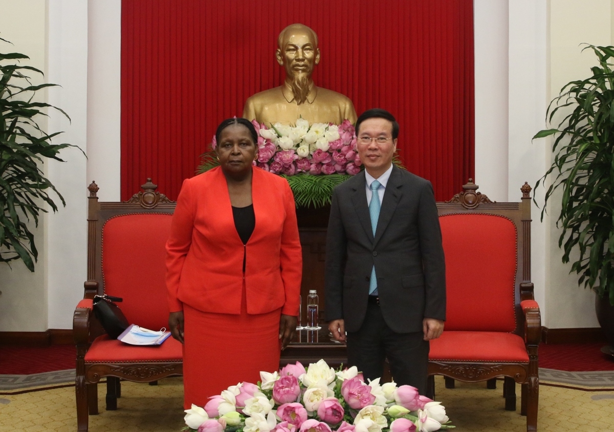 ample room for stronger vietnam- mozambique cooperation picture 1