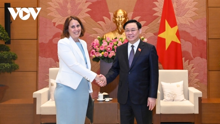 vietnam attaches importance to relations with new zealand picture 1