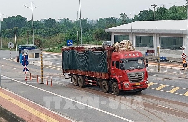 quang ninh over 45,300 tonnes of cargo cleared after reopening of two border checkpoints picture 1