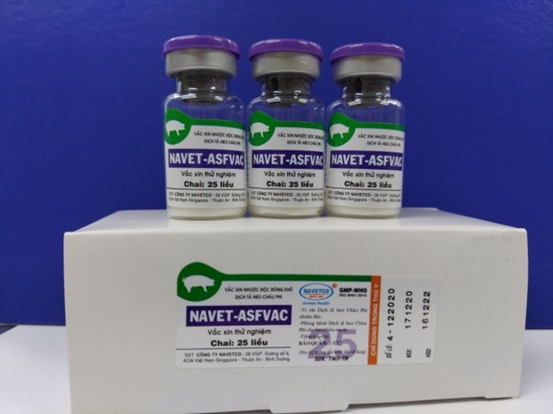vietnam successfully produces vaccine against african swine fever picture 1 vietnam successfully produces vaccine against african swine fever picture 1
