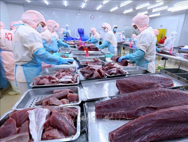 tuna export to canada soars picture 1
