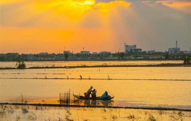 fulbright university helps improve natural capital management in mekong delta picture 1