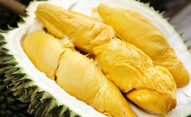 vietnam expects to export durian to china via official channels this year picture 1