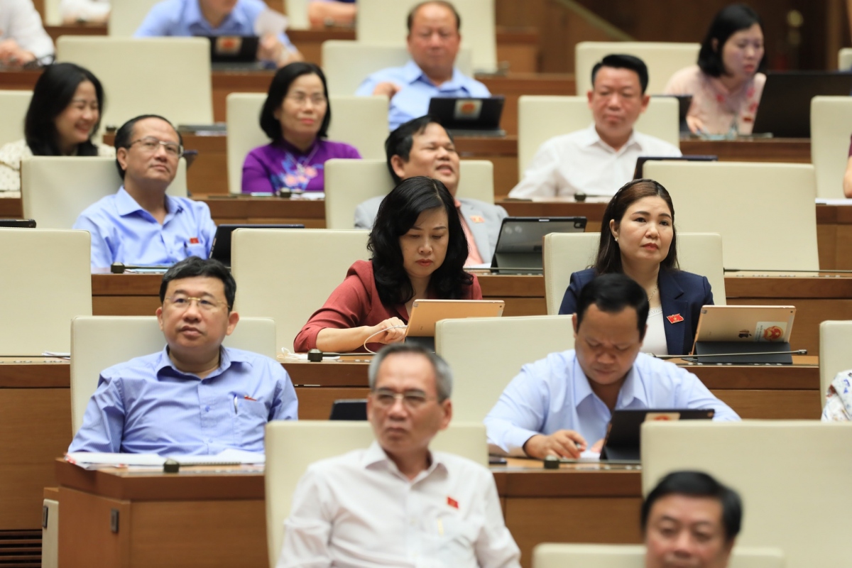  giai quyet diem nghen o dau thi hoi dia phuong, vay vai tro cua bo nong nghiep o dau hinh anh 2