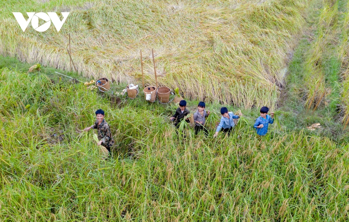 ethnic children enjoy summer time in northern mountainous region picture 3