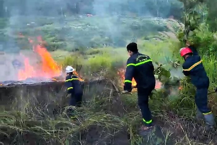 Dập tắt đám cháy do người hút thuốc lá vứt bữa bãi