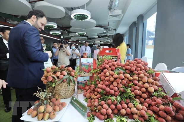 vietnamese lychees aim to go global picture 1