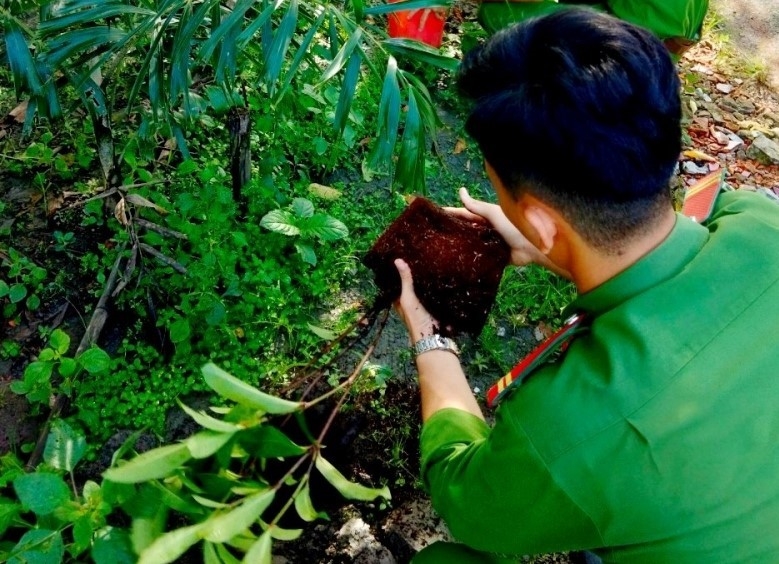 Hậu Giang tổ chức nhiều hoạt động hưởng ứng Ngày môi trường thế giới