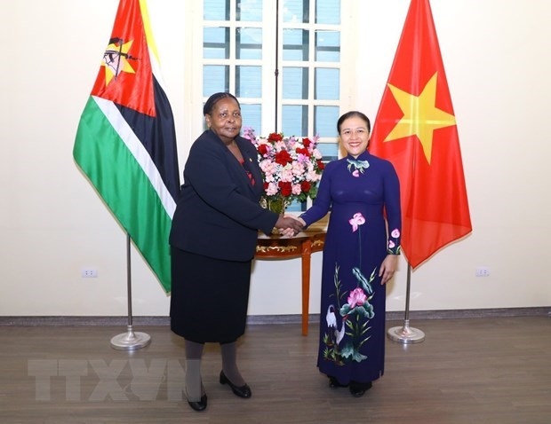 vufo president suggests vietnam and mozambique deepen friendship picture 1