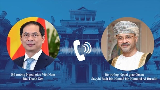 vietnam forges multi-faceted cooperation with oman, uae picture 1