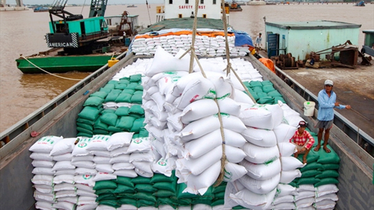 rice exports anticipated to maintain high prices in june picture 1