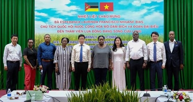 mozambican guests visit mekong delta rice research institute picture 1